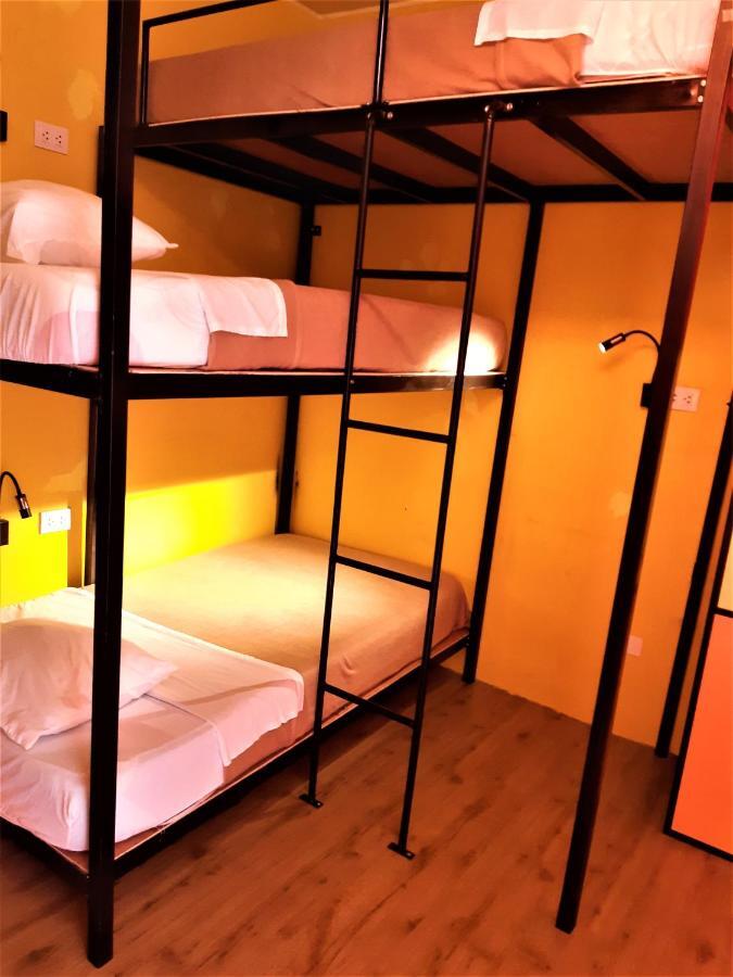 Happy Tree Hostel Peru Distretto di Distretto di Lima Esterno foto