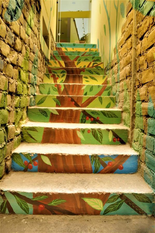 Happy Tree Hostel Peru Distretto di Distretto di Lima Esterno foto
